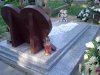 DSC00768