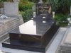 DSC00220.JPG