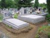 DSC00341