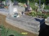 DSC00495